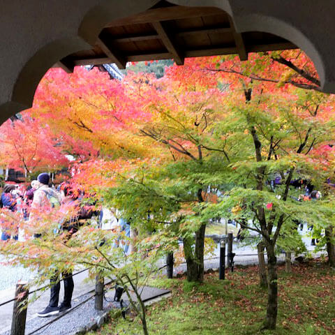 日本人であることを感じるひととき