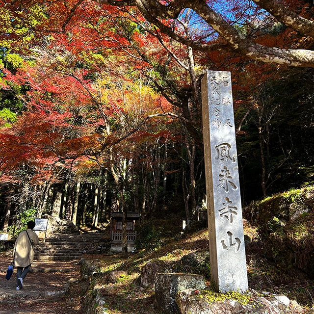 ソロ活おばさん、鳳来寺山チャレンジ